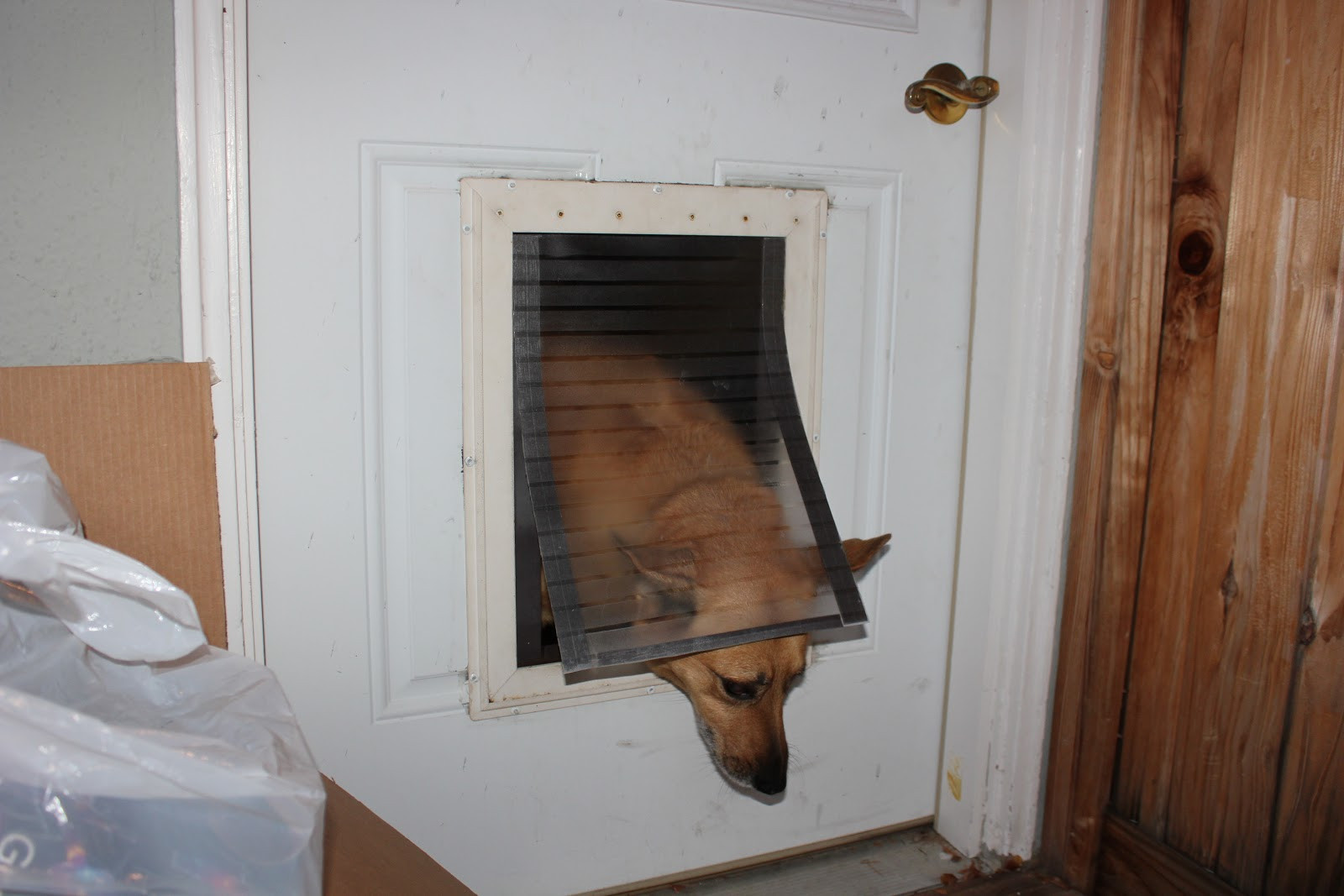 DIY Dog Door Flap
 Content Provider Homemade magnetic dog flap nirvana