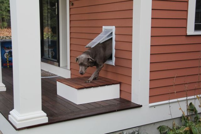 DIY Dog Door In Wall
 9 best dog door ideas images on Pinterest