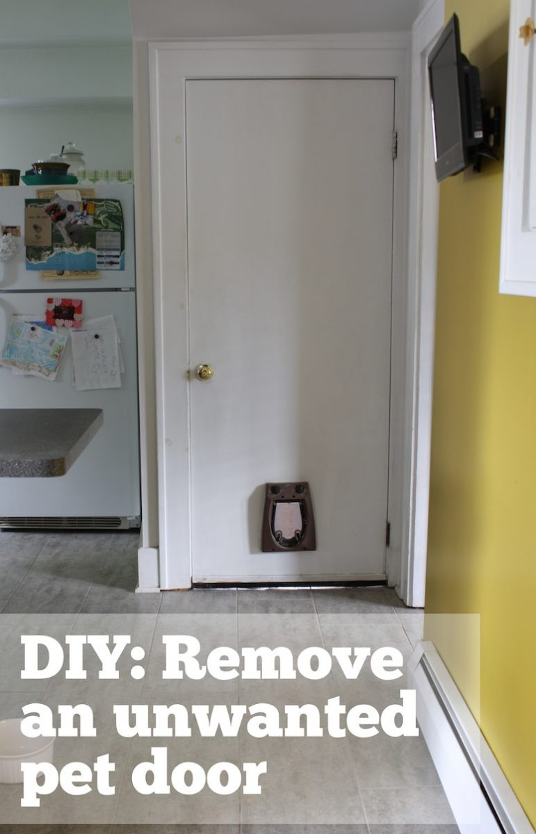 DIY Dog Door In Wall
 How to patch a hole in a hollow door