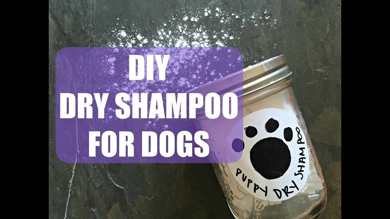 DIY Dog Dry Shampoo
 DIY Dry Shampoo for Dogs