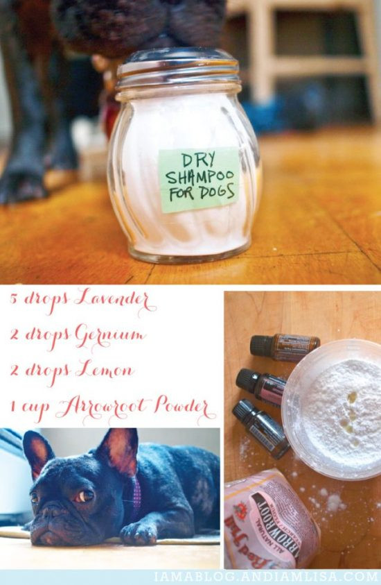 DIY Dog Dry Shampoo
 Dry Dog Shampoo Homemade Recipe Video Tutorial