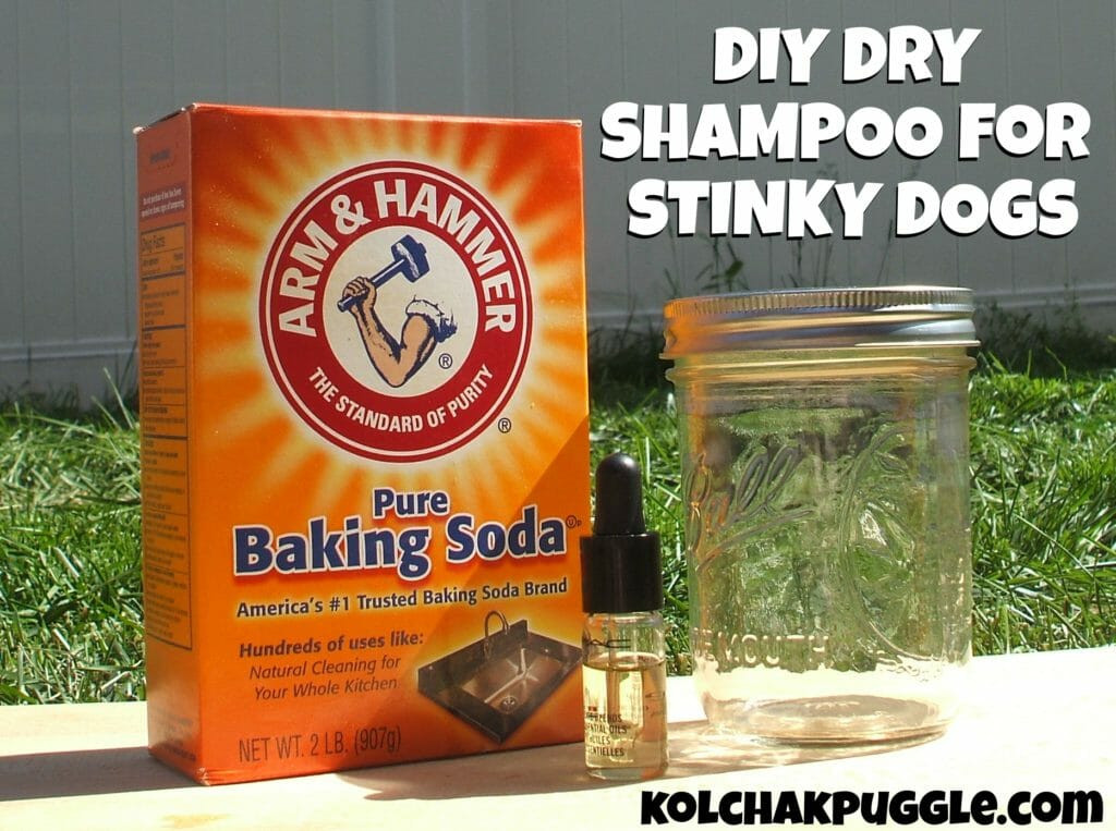DIY Dog Dry Shampoo
 Got A Stinky Dog This DIY Dry Dog Shampoo Can Help Kol