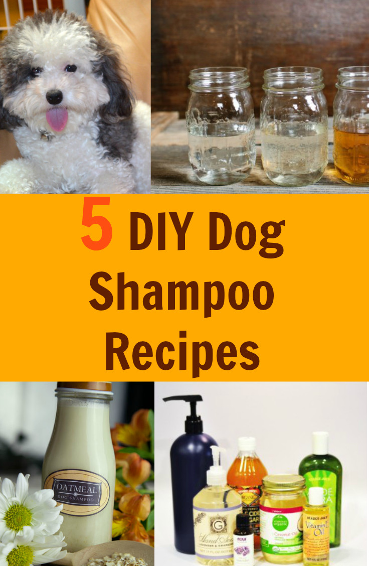 DIY Dog Dry Shampoo
 5 DIY Dog Shampoo Recipes Fabulessly Frugal