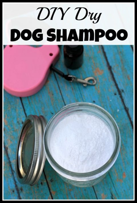 DIY Dog Dry Shampoo
 DIY Dry Dog Shampoo