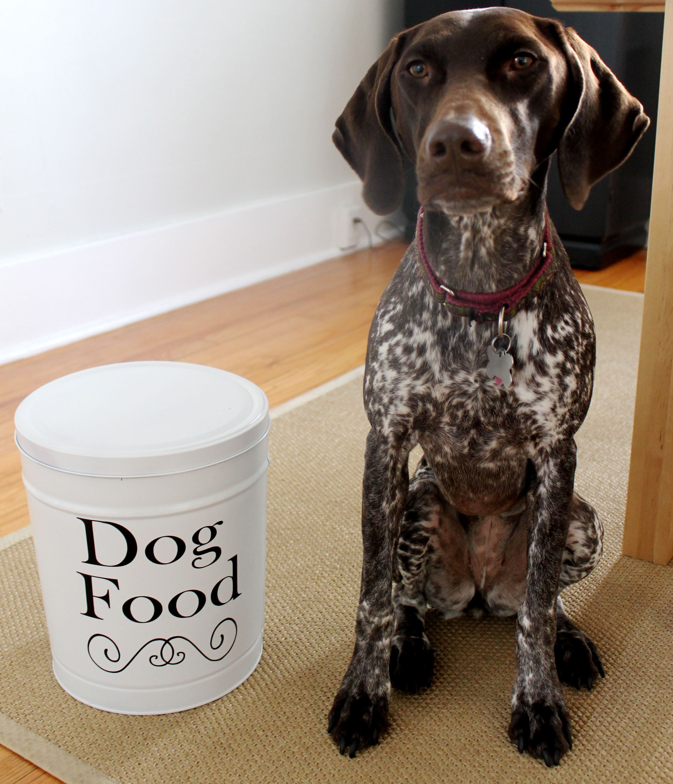 DIY Dog Food Container
 DIY Dog Food Container