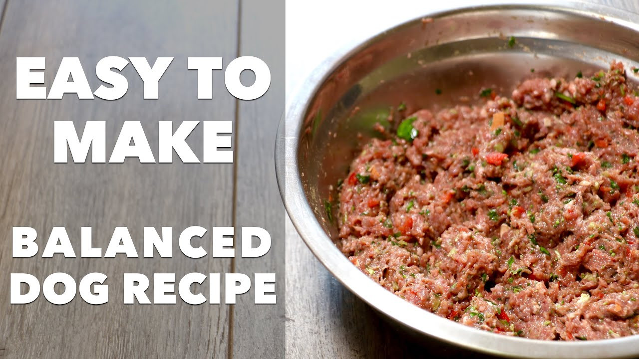 DIY Dog Food Recipe
 Homemade Dog Food Recipe