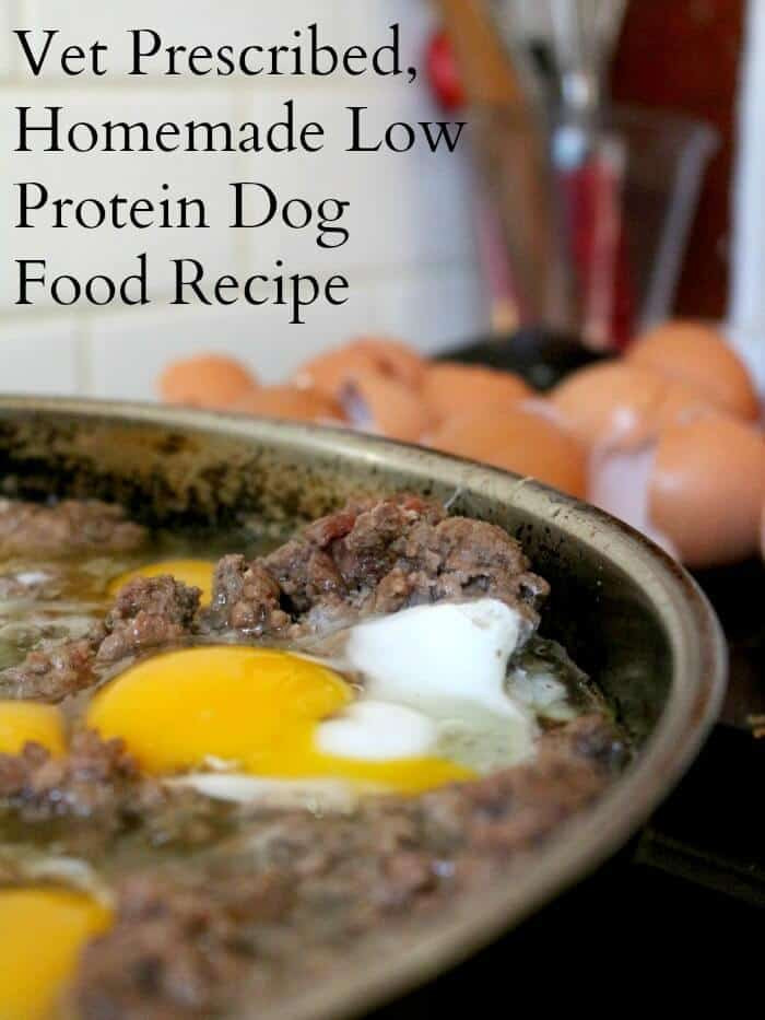 DIY Dog Food Recipe
 Homemade Dog Food Recipe Low Protein