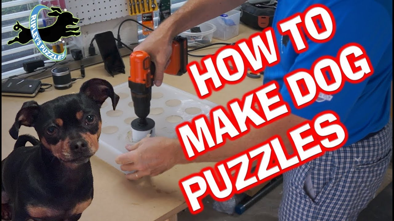 DIY Dog Games
 How To Make Dog Puzzles Build Your Own DIY Homemade