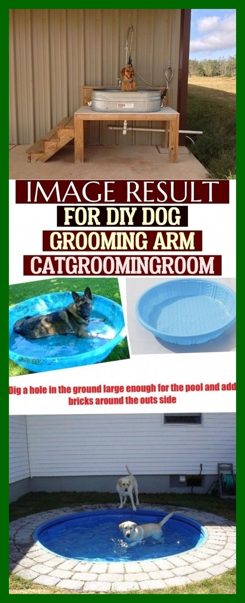 DIY Dog Grooming Arm
 Image Result For Diy Dog Grooming Arm Catgroomingroom Bild