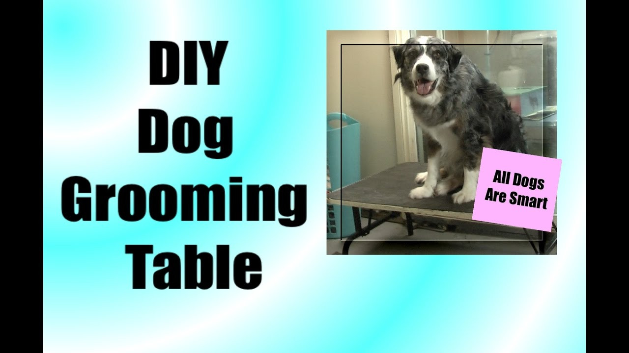 DIY Dog Grooming Arm
 DIY Grooming Table Medium Dog