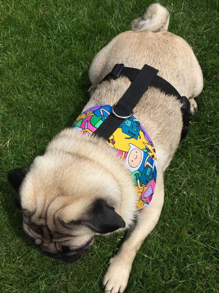DIY Dog Harness
 DIY Dog Harness Sewing Pattern and Full by Pugsnkissesuk