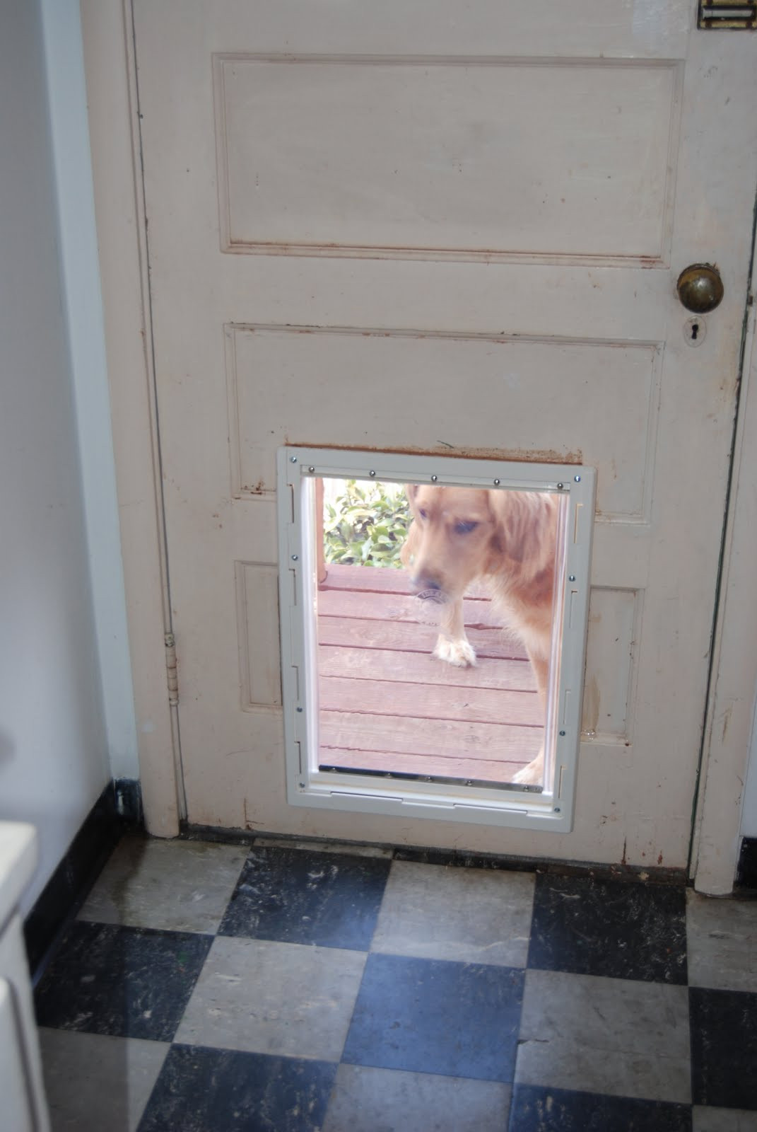 DIY Dog House Door
 Doggy Door Ideas & Our Westie Loves Her New Doggy Door