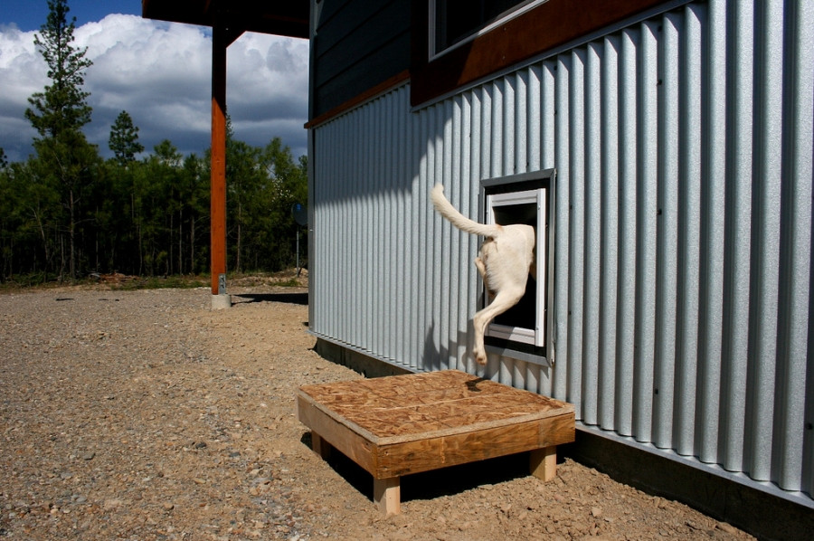DIY Dog House Door
 How to Build a Dog Door Buildipedia