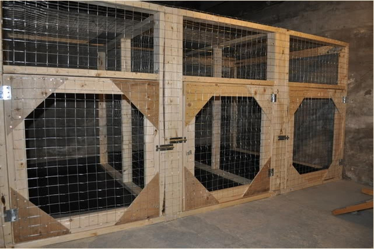 DIY Dog Kennels Plans
 Want to Build Indoor Dog Kennels Help With Plans DIY