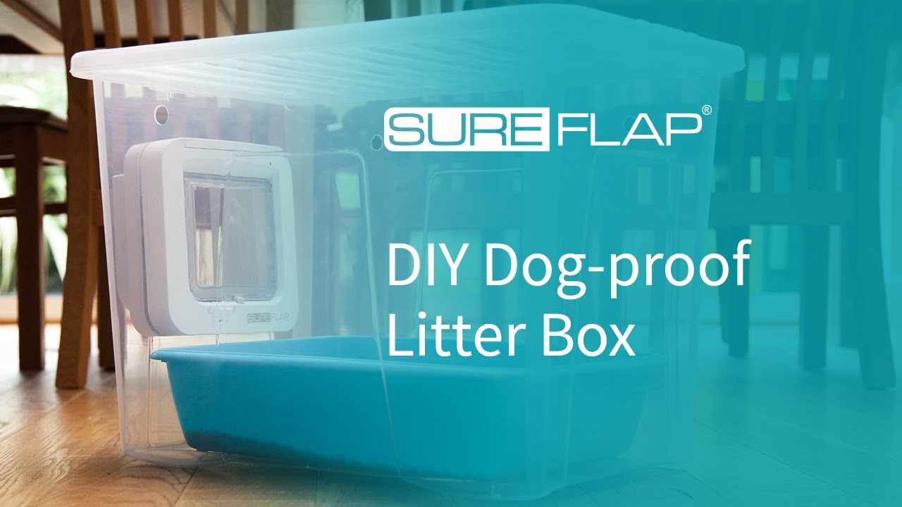 DIY Dog Litter Box
 DIY Dog proof Litter Box from SureFlap