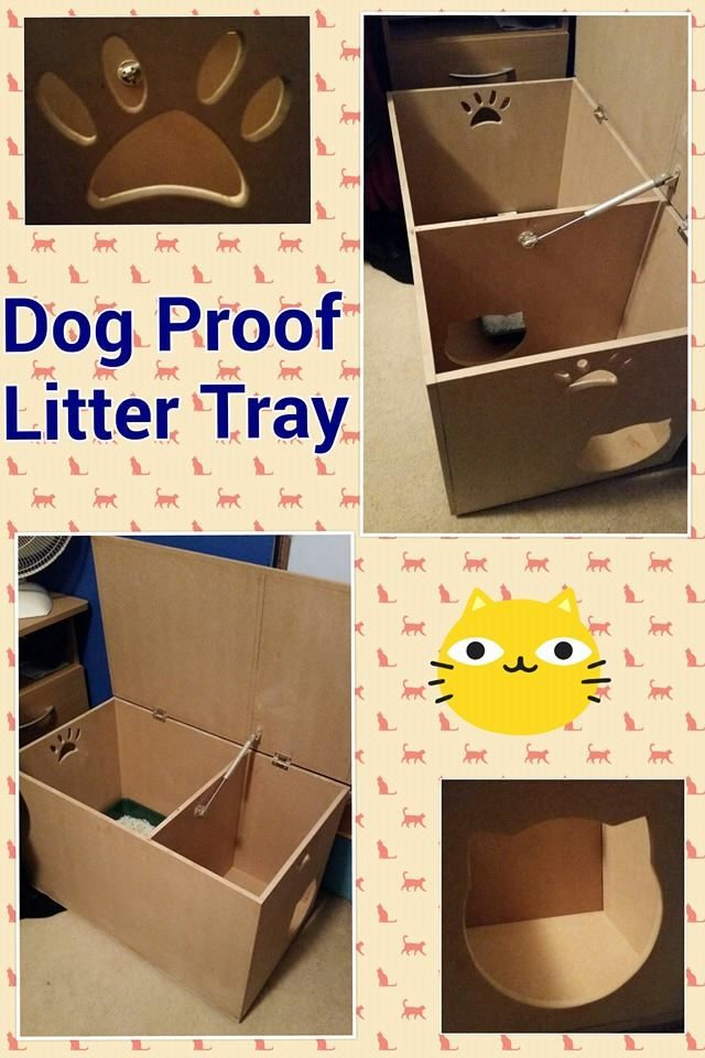 DIY Dog Litter Box
 Dog Proof Litter Box Hides Litter Tray Reduced Smell