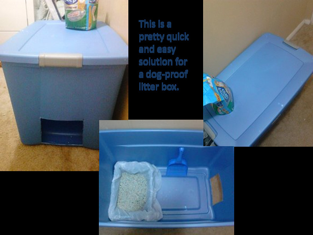 DIY Dog Litter Box
 Hometalk