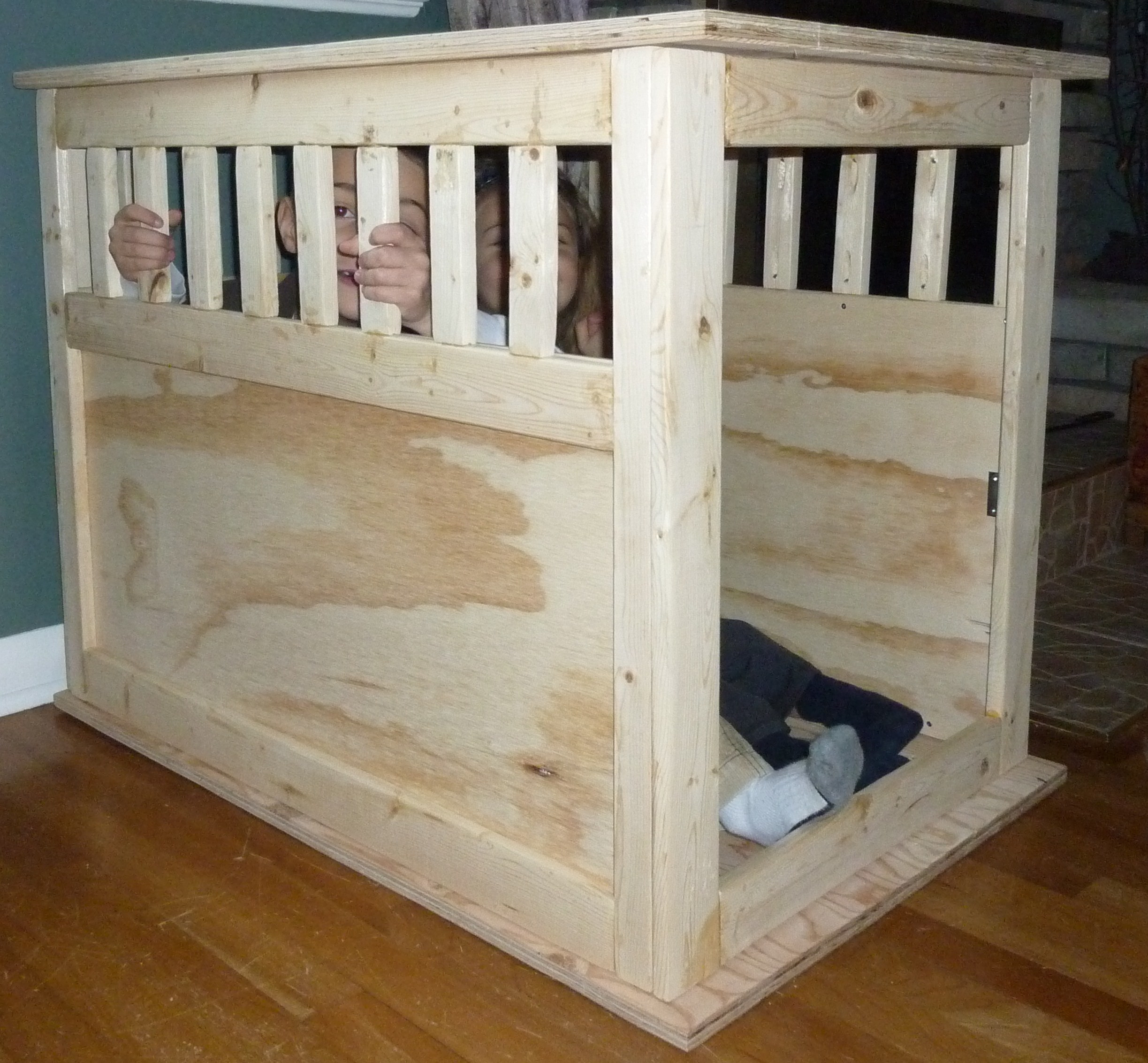 DIY Dog Pen
 Ana White