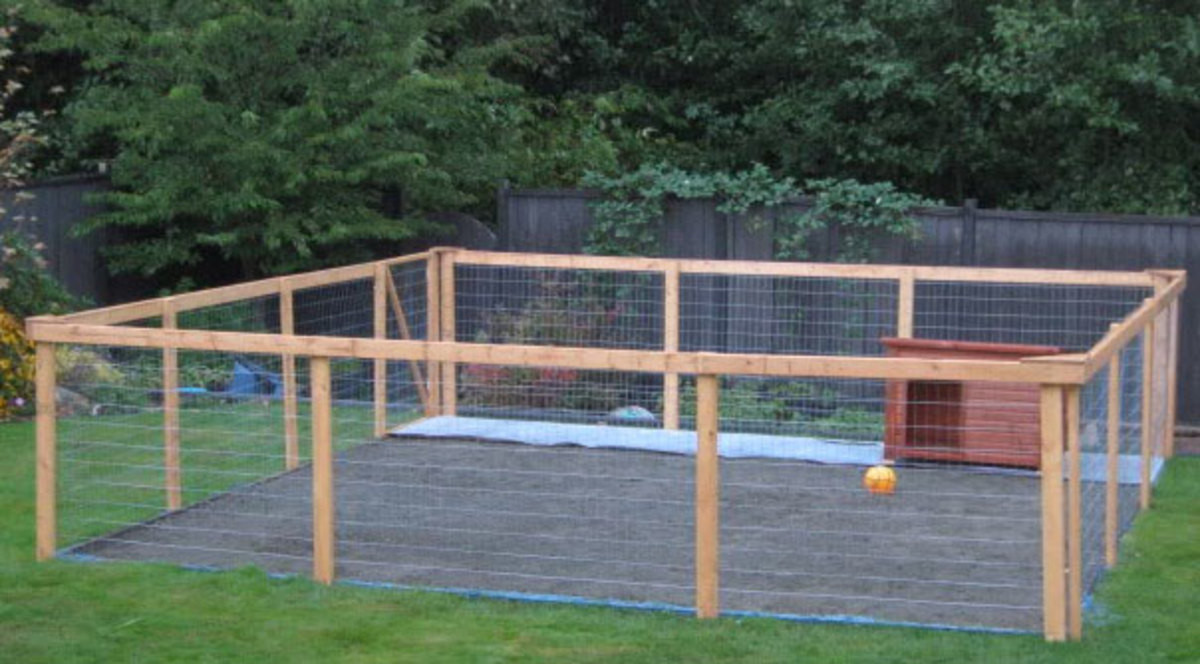 DIY Dog Pen
 Should I Build or Buy a Dog Kennel Run