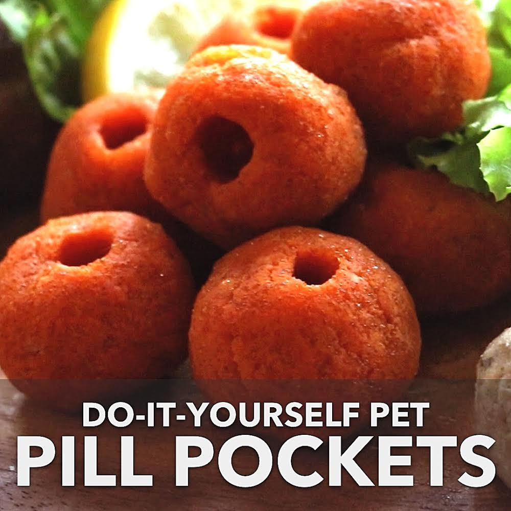 DIY Dog Pill Pockets
 Do It Yourself Pet Pill Pockets Planet Paws