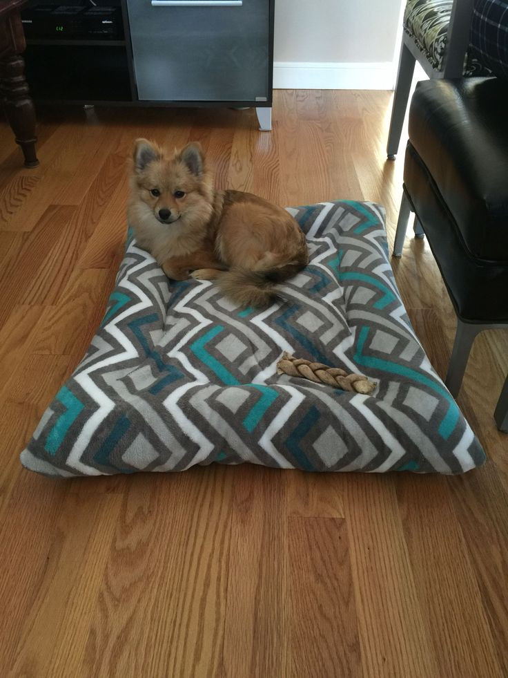 DIY Dog Pillow
 Diy dog bed with old pillows and $5 Walmart blanket