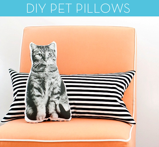 DIY Dog Pillow
 How To Make Custom DIY Pet Pillows Curbly