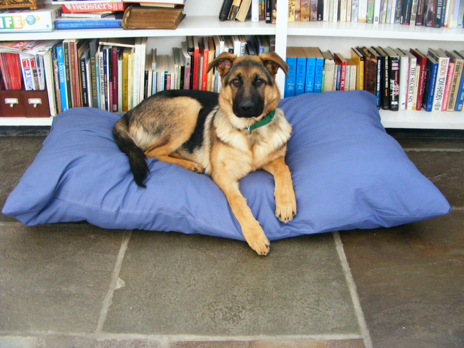 DIY Dog Pillow
 Easy To Make Floor Pillows And Poufs For A Cozy Home