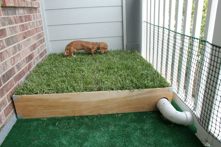 DIY Dog Potty Box
 Dog Porch Potty with Real Grass and Drainage System