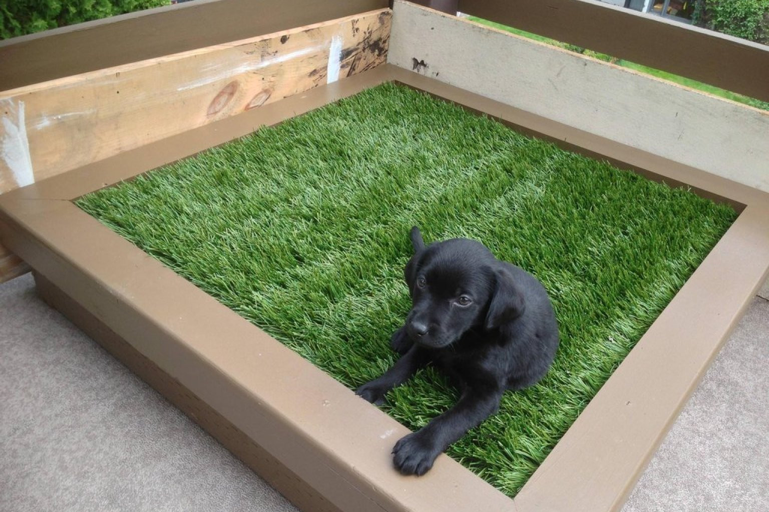 DIY Dog Potty Box
 DIY Porch Potty Is The Ultimate Solution For City Dogs