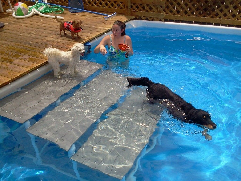 DIY Dog Ramp For Above Ground Pool
 The top 22 Ideas About Diy Dog Ramp for Ground Pool