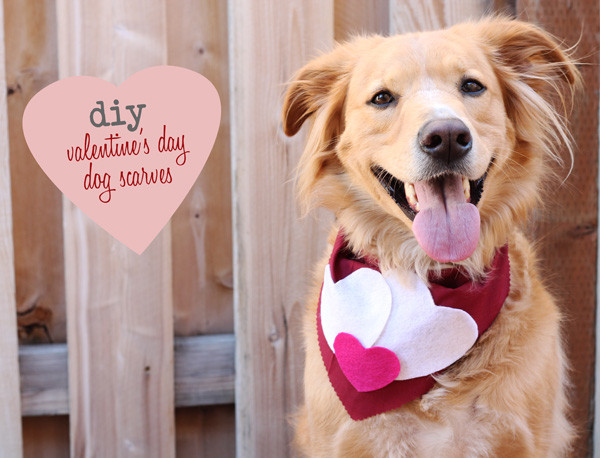 DIY Dog Scarf
 Acute Designs diy valentine s day dog scarves