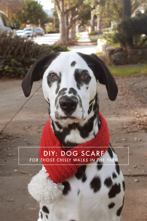 DIY Dog Scarf
 DIY Dog Scarf – Jamie Bartlett Design