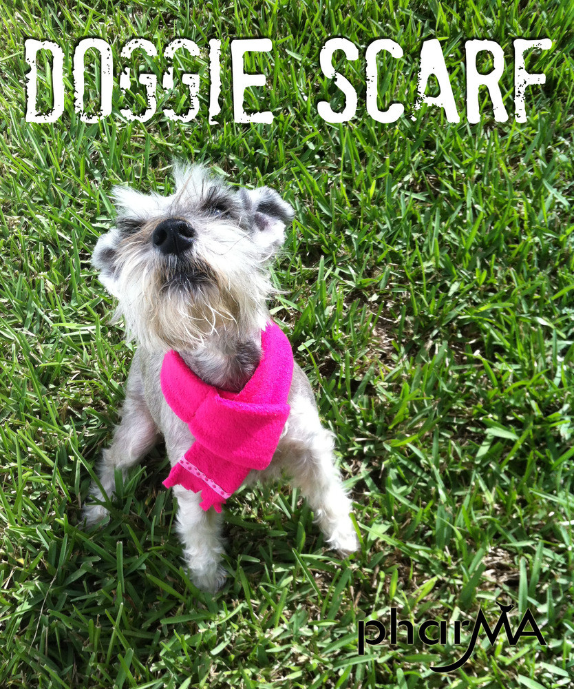 DIY Dog Scarf
 DIY Doggie Scarf — The PharMA Blog