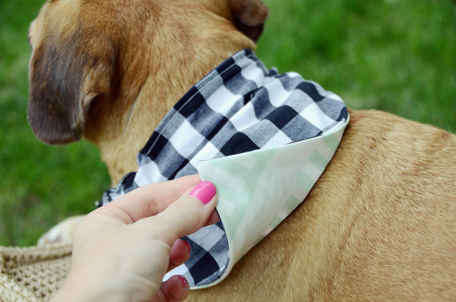 DIY Dog Scarf
 Easy DIY Reversible Dog Bandana Sewing Pattern