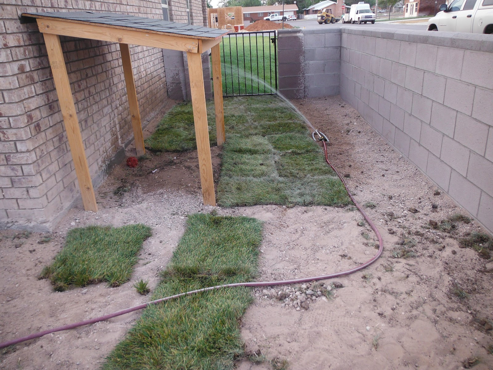 DIY Dog Shade Structure
 My Garden Our Life Grass Update