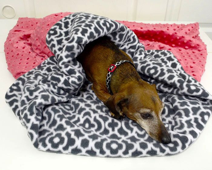 DIY Dog Sleeping Bag
 DIY Designer Dog Snuggie Sac