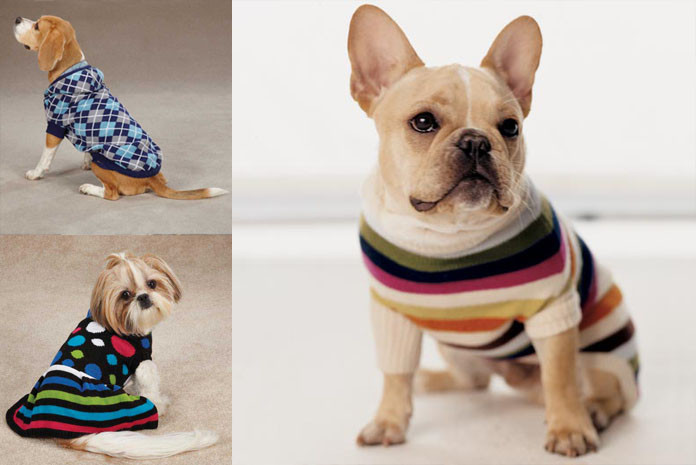 DIY Dog Sweaters
 How to Make DIY Dog Sweater Step By Step Guide With Video