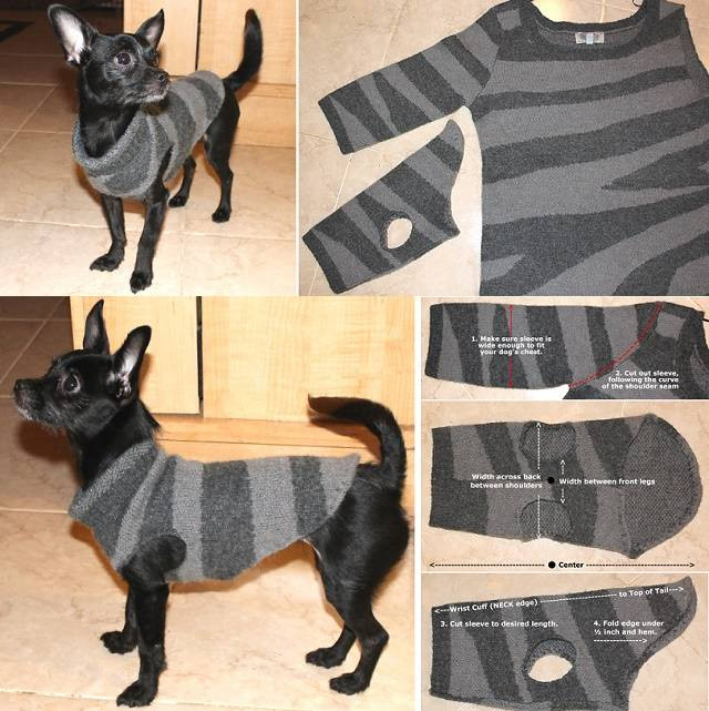 DIY Dog Sweaters
 DIY Dog Sweater from Old Sweater