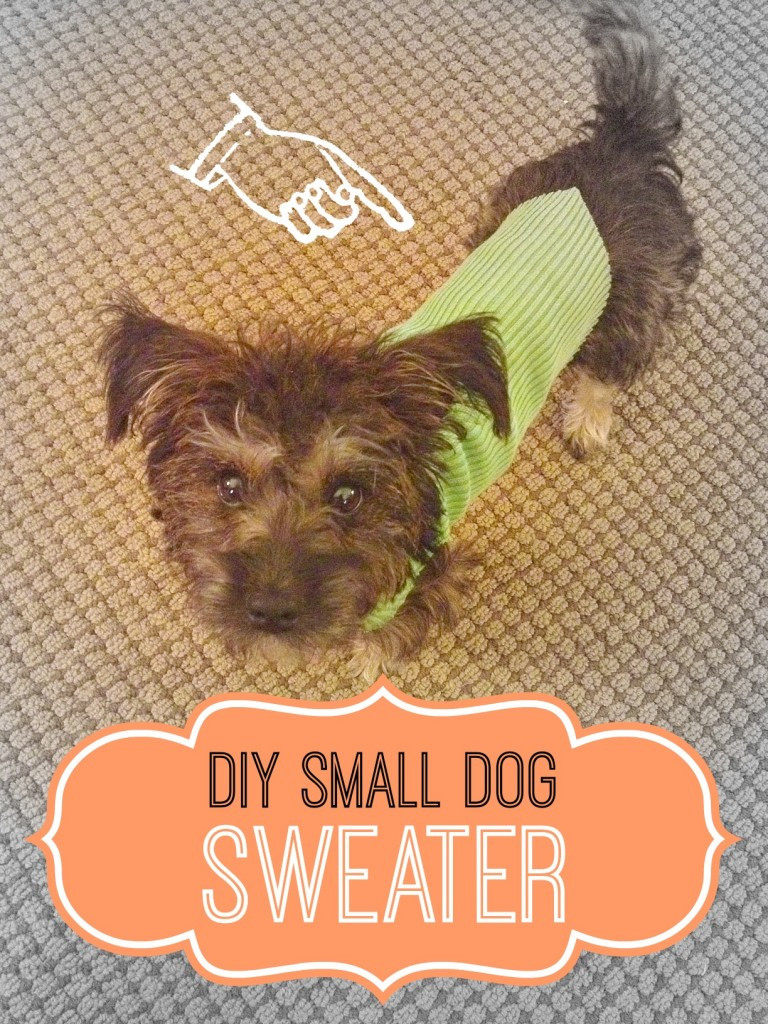 DIY Dog Sweaters
 DIY Small Dog Sweater