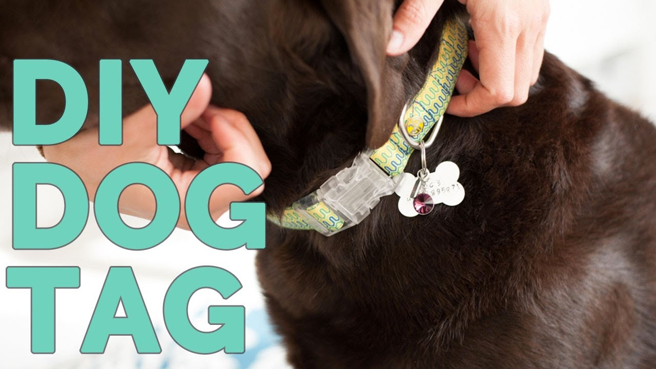 DIY Dog Tag
 DIY Metal Stamped Dog Tag