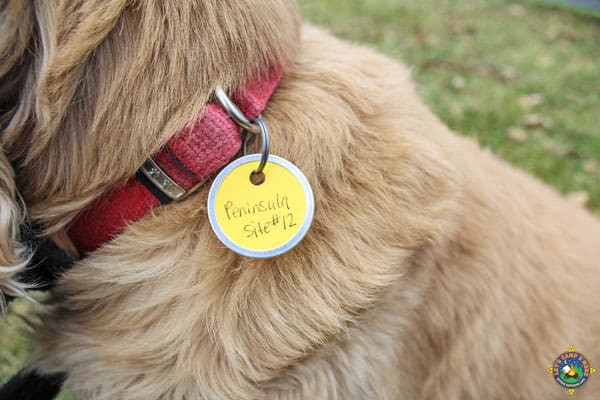 DIY Dog Tag
 Tips for Camping with Dogs plus a DIY Dog Tags Tutorial