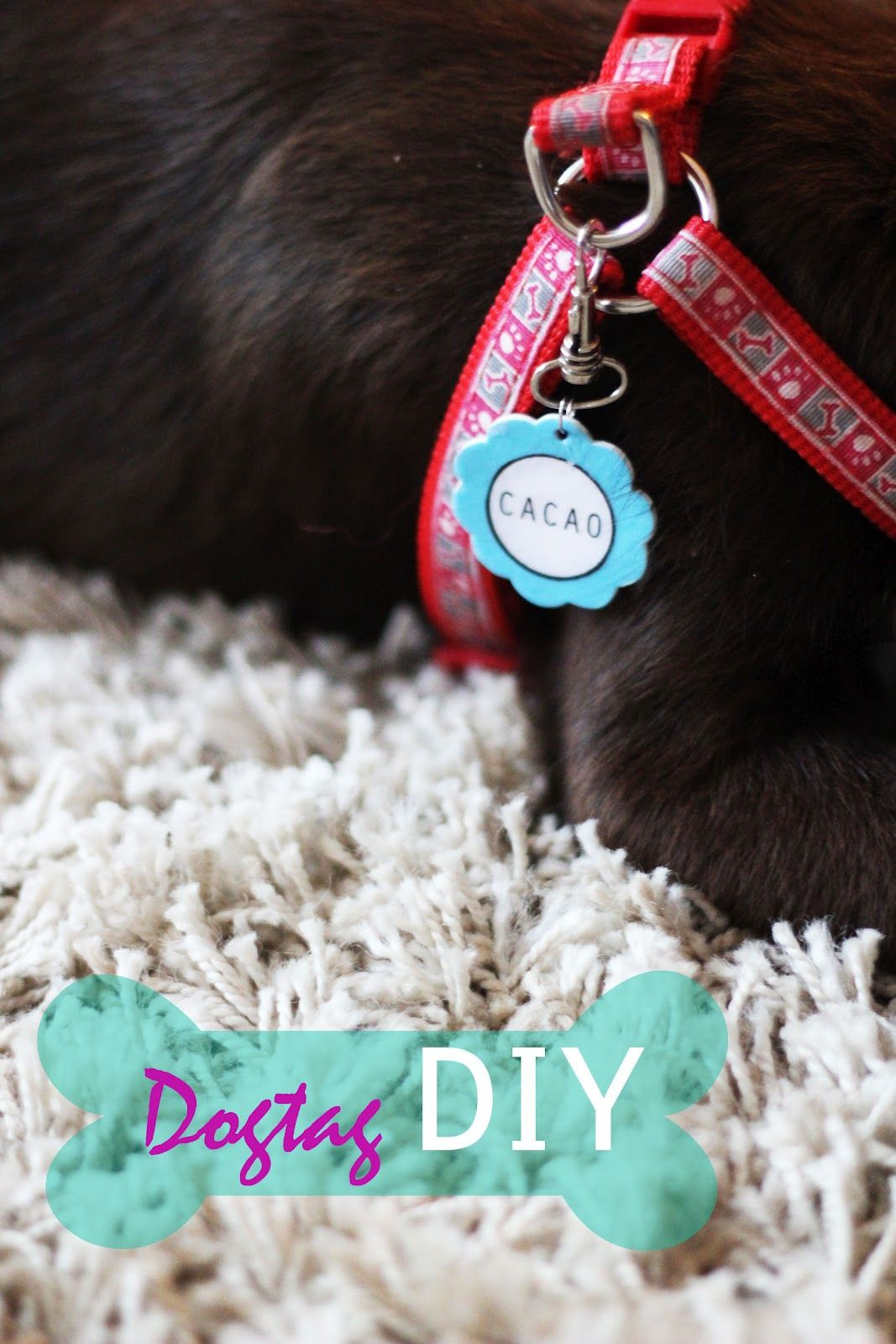 DIY Dog Tag
 DIY Dog Tag ly thing I would do different is hand