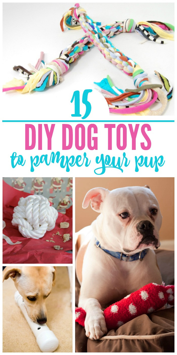 DIY Dog Toy
 15 Pawesome DIY Dog Toys for Your Pup