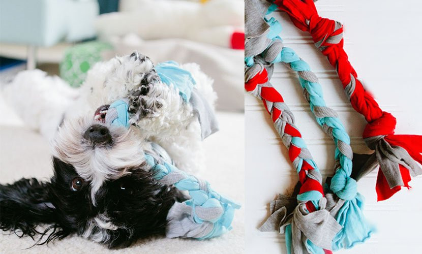 DIY Dog Toy
 Easy DIY Dog Toy The Braid