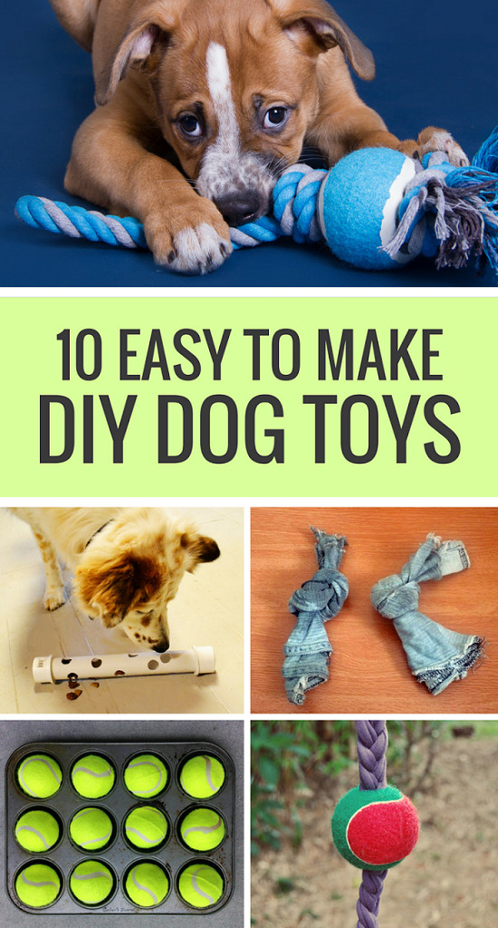 DIY Dog Toy
 10 Easy to Make DIY Dog Toys Puppy Leaks