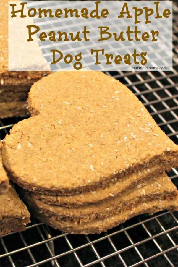 DIY Dog Treats With Peanut Butter
 Homemade Apple Peanut Butter Dog Treats • Must Love Home