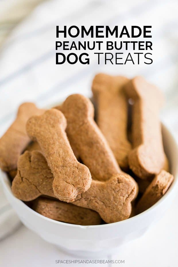 DIY Dog Treats With Peanut Butter
 Homemade Dog Treats Spaceships and Laser Beams