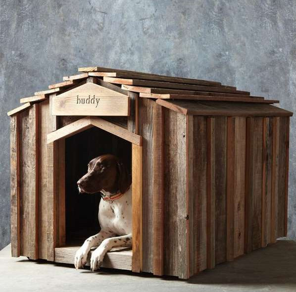 DIY Dog Wash College Station
 The 22 Best Ideas for Diy Inside Dog Kennel Home Family