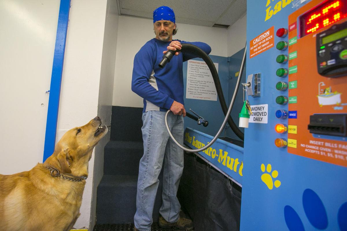 DIY Dog Wash College Station
 Laundro Mutt seeks dirty dogs in Mason City