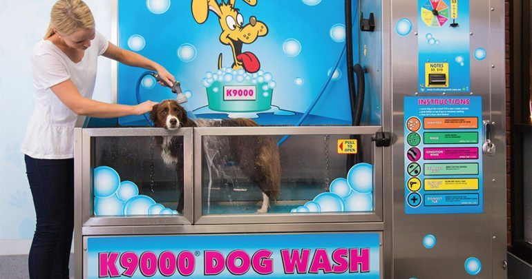 DIY Dog Wash Station
 DIY Coin Operated Dog Wash Stations Make Their Debut in